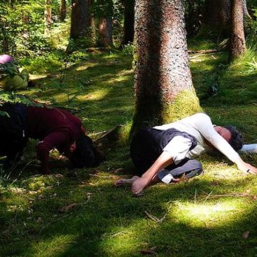 Danse Sensible im Wald des Kleinen Wiesentals