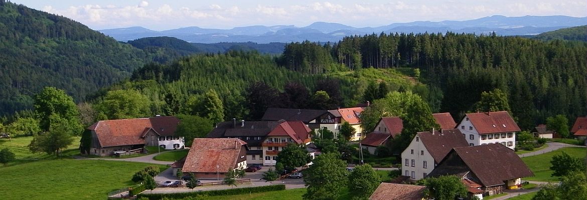 Slider Schwand Slider Schwand